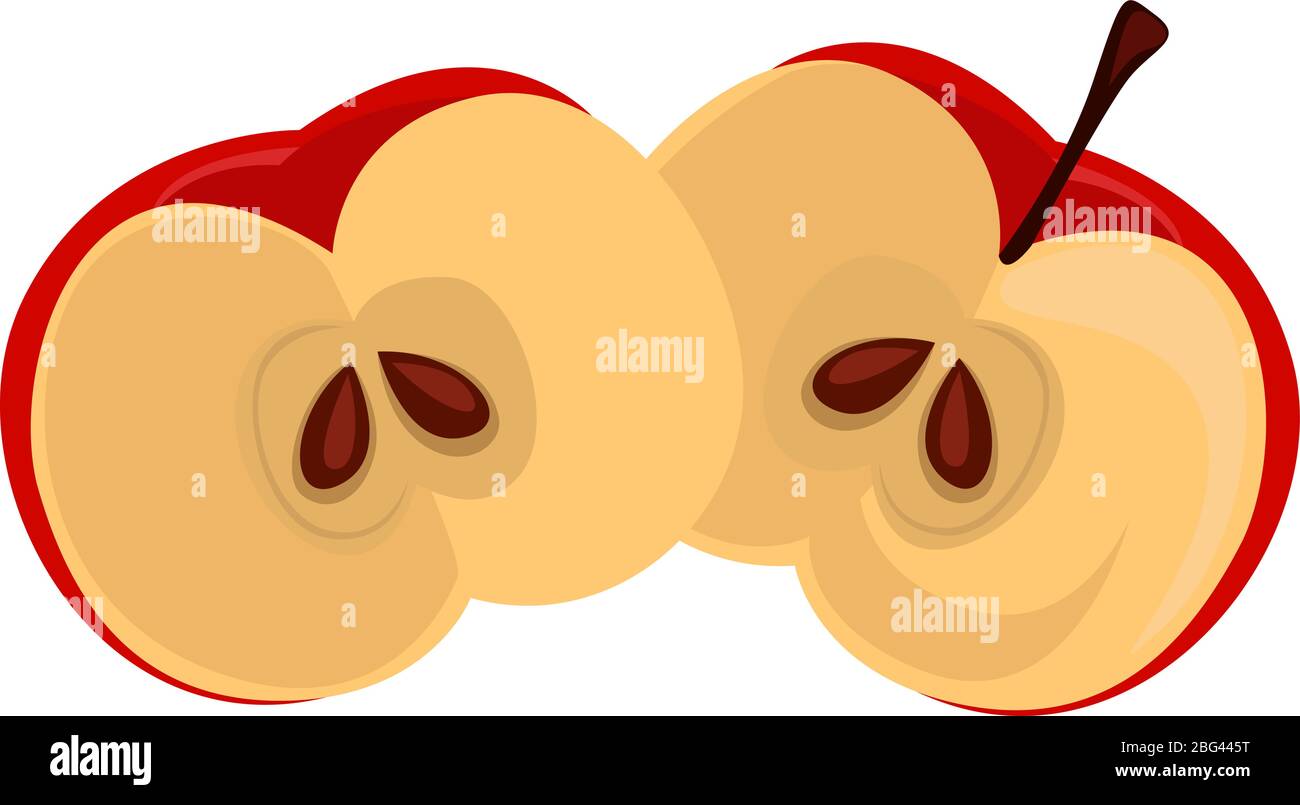 Red apple cut in half, illustration, vector on white background Stock Vector