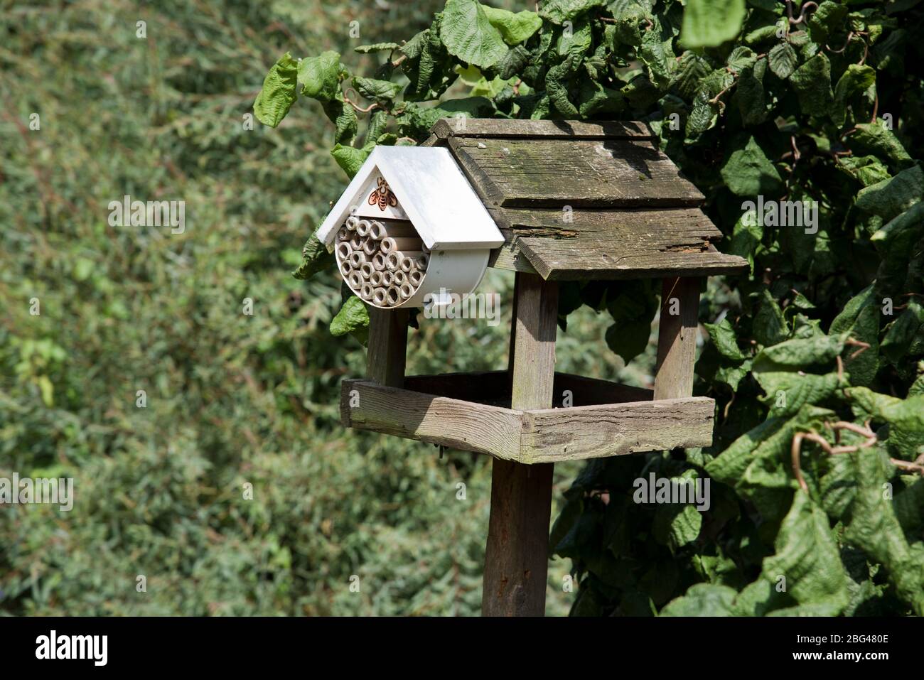 A rustic bird table with a bee nesting box attached Stock Photo