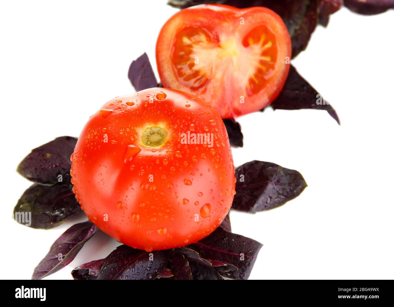 Fresh tomatoes and basil leaves isolated on white Stock Photo - Alamy