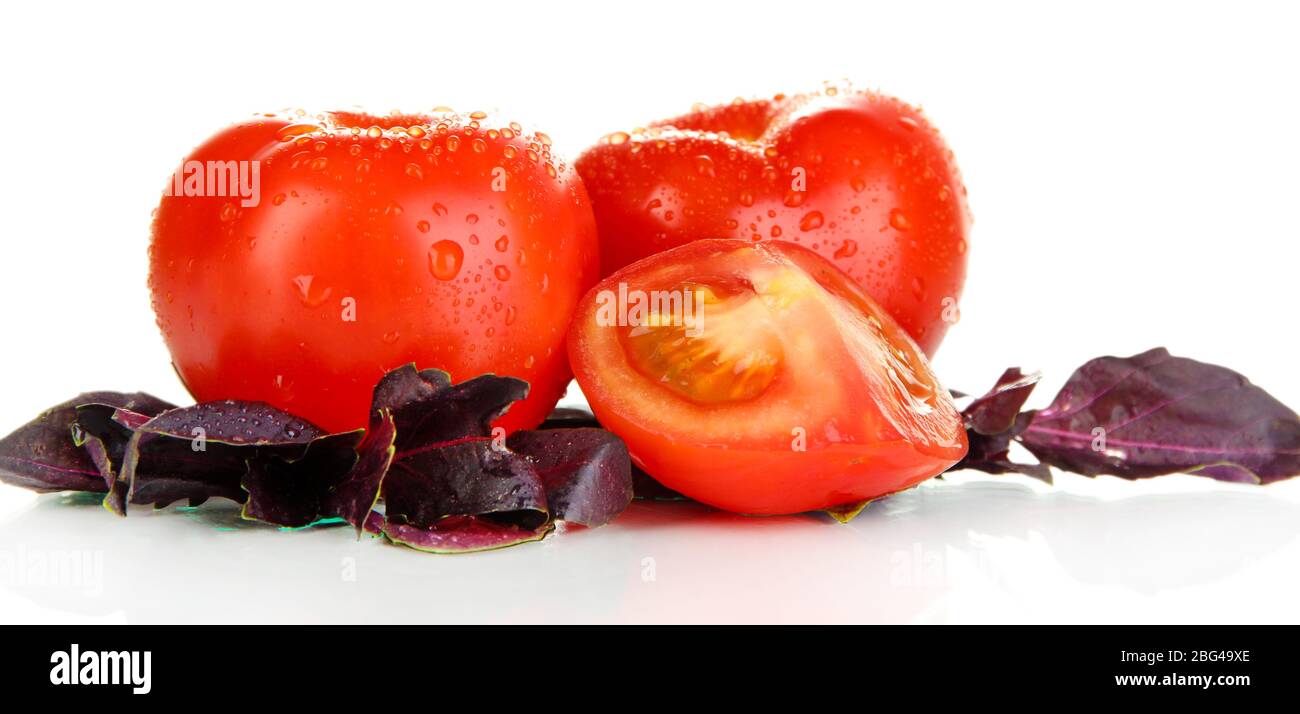 Fresh tomatoes and basil leaves isolated on white Stock Photo - Alamy