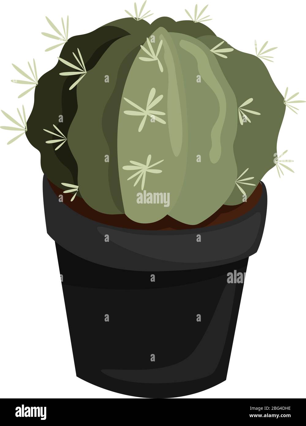 Cactus in black pot, illustration, vector on white background Stock Vector