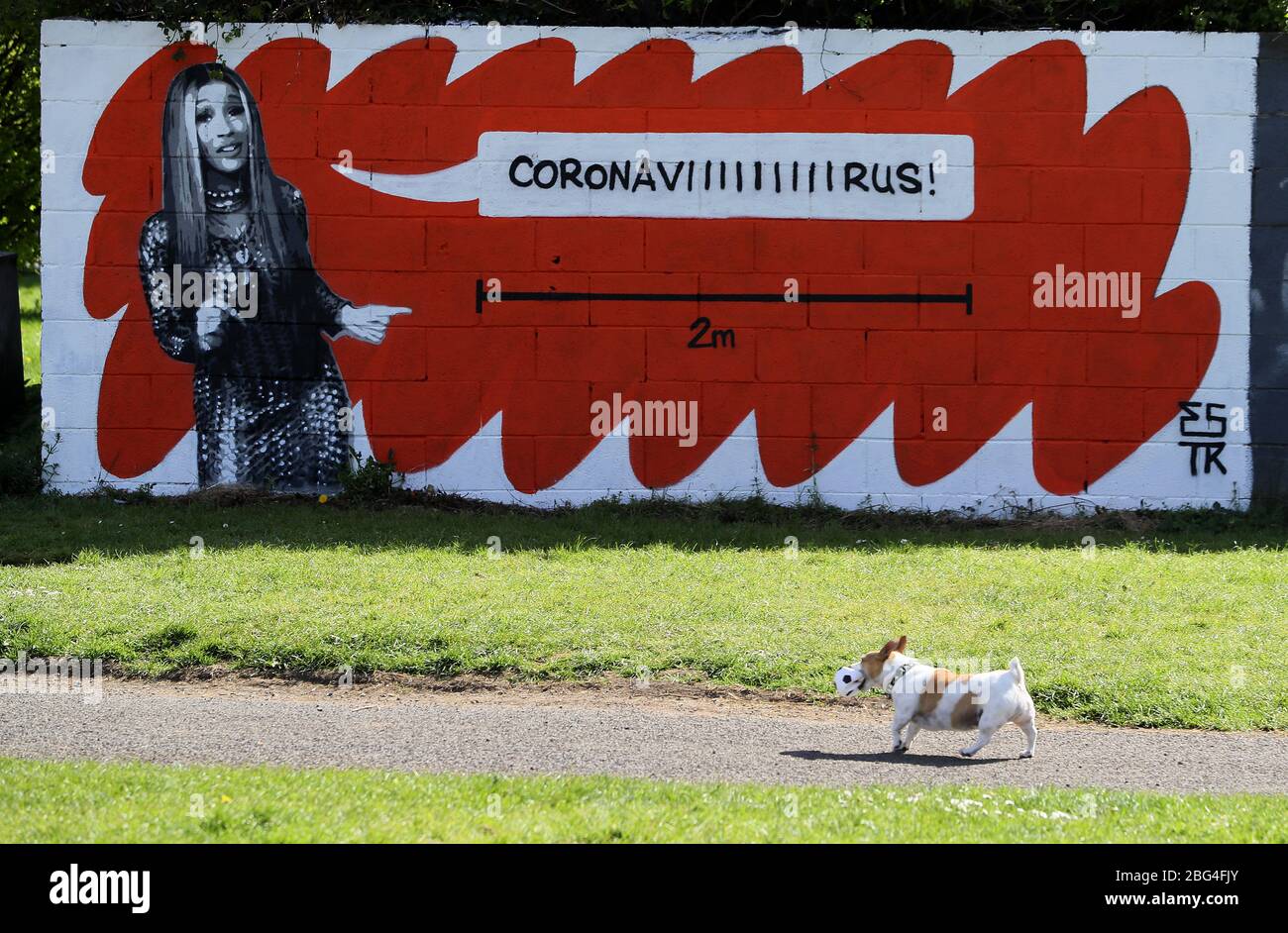 A dog passes a mural of artist Cardi B by Irish artist Emmalene Blake in a park in South Dublin. The Dublin artist has created a series of murals to encourage people to stick to social distancing rules which feature artists such as Dua Lipa, Robyn and Cardi B. Stock Photo