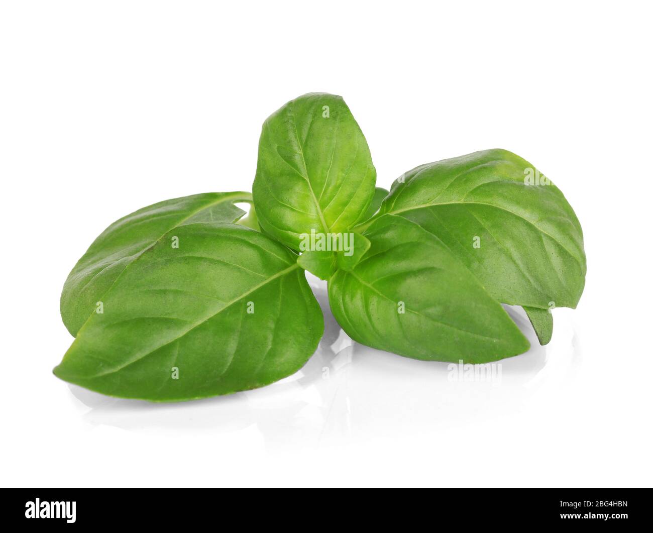 Green fresh basil isolated on white Stock Photo - Alamy