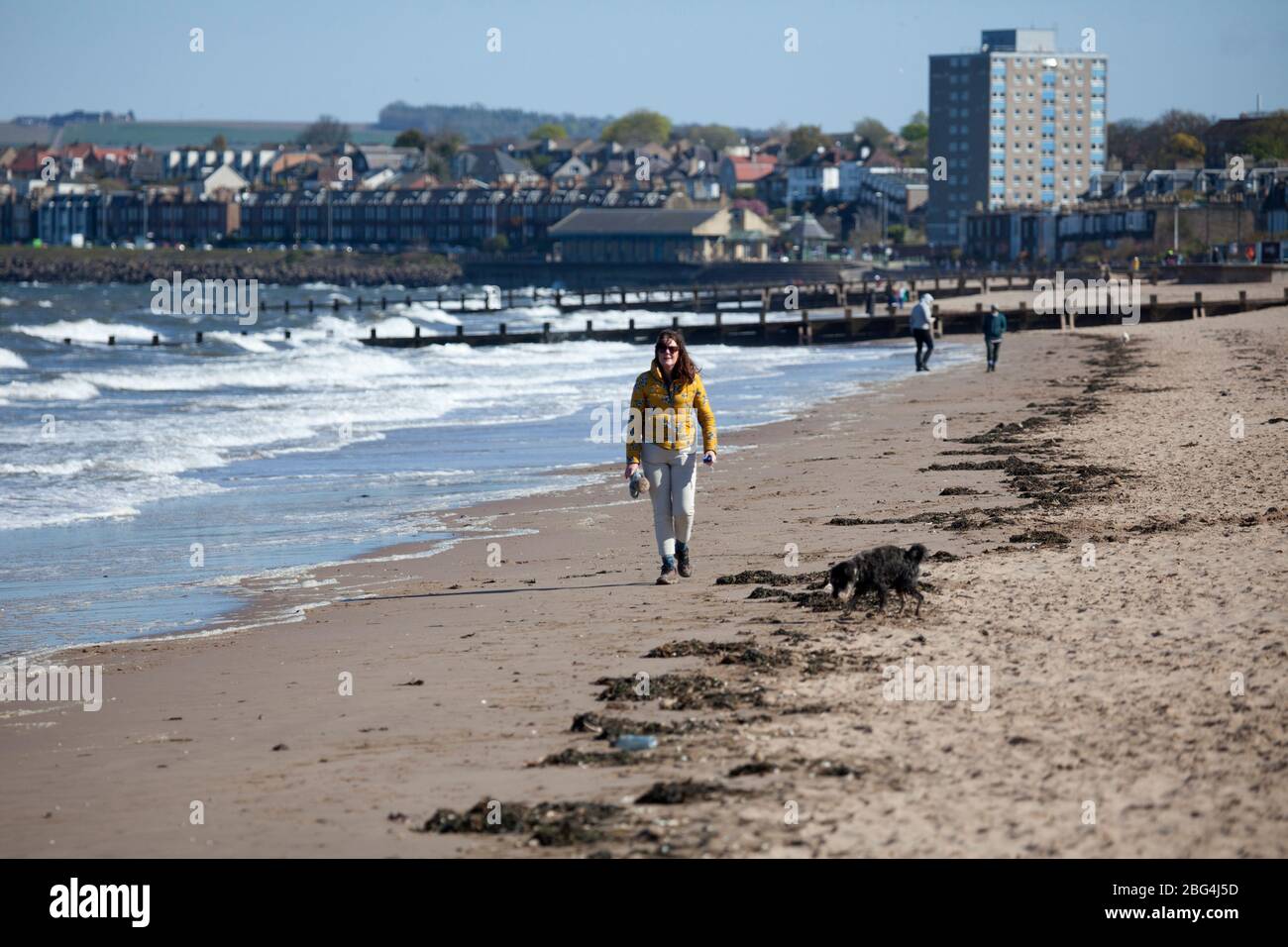 Dog days of summer 2020 uk