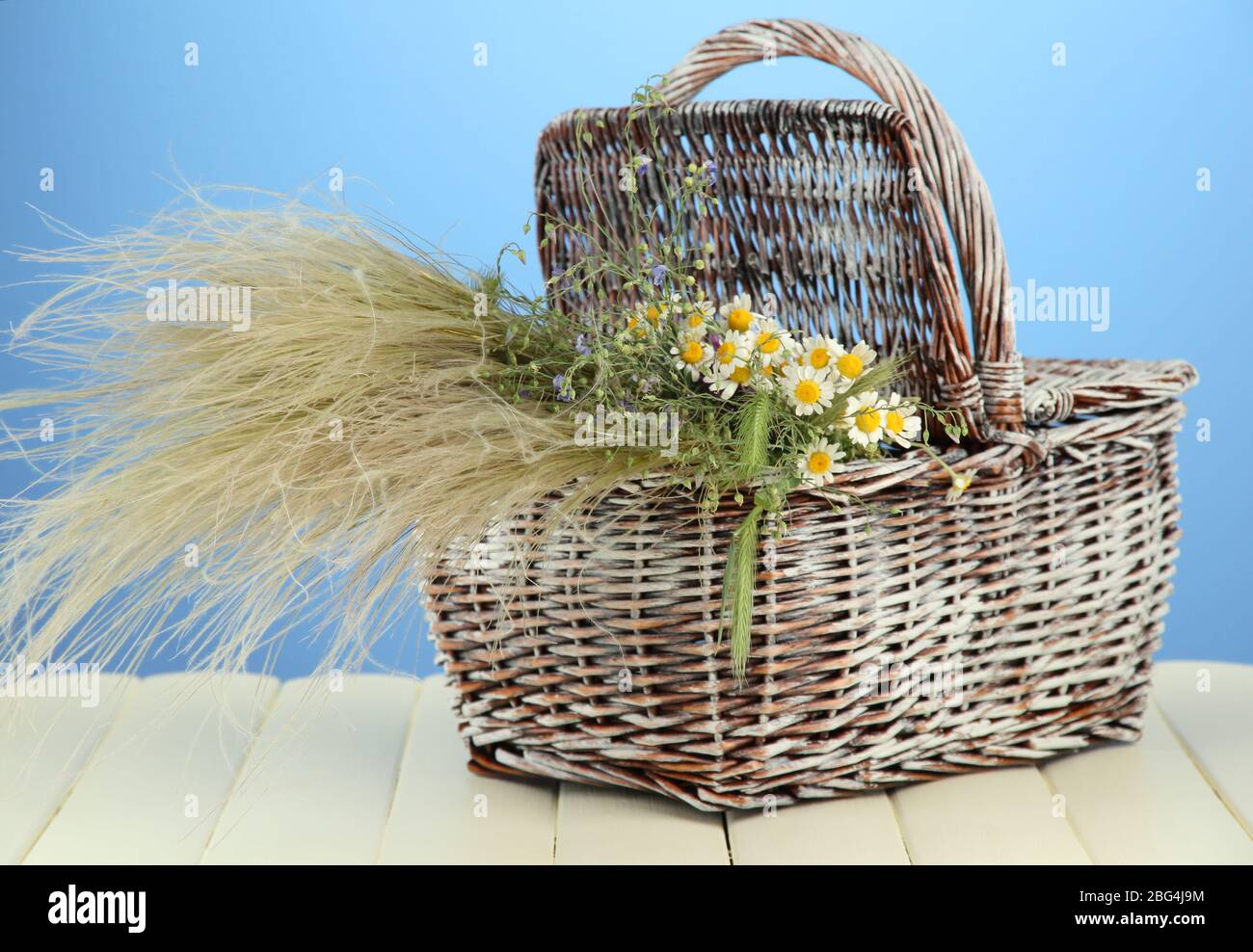 Bouquet of wild flowers and herbs, in wicker basket, on color ...