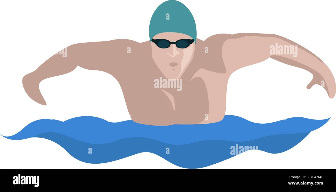 Butterfly swimming, illustration, vector on white background Stock