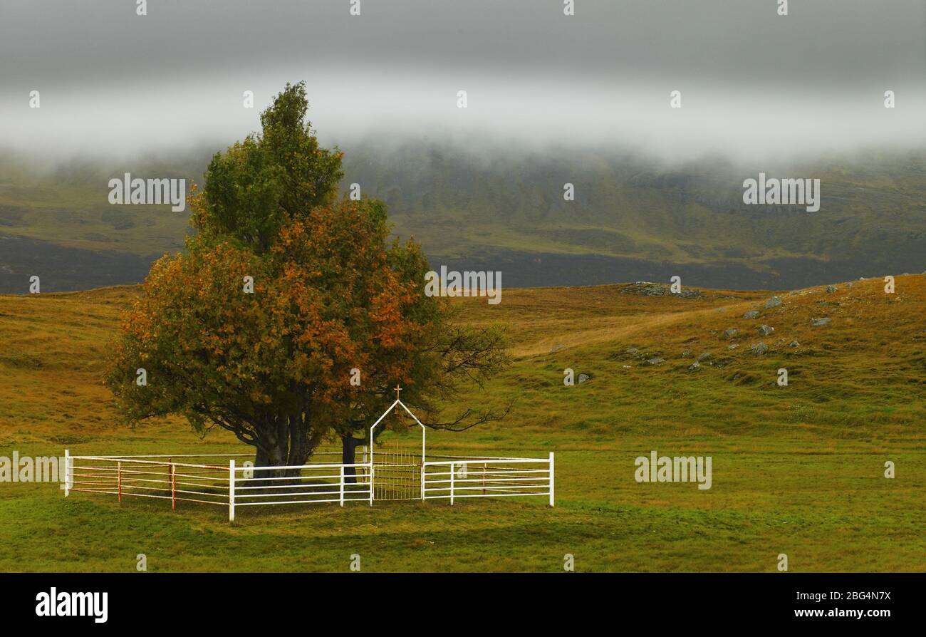 fence around tree in rural area Stock Photo