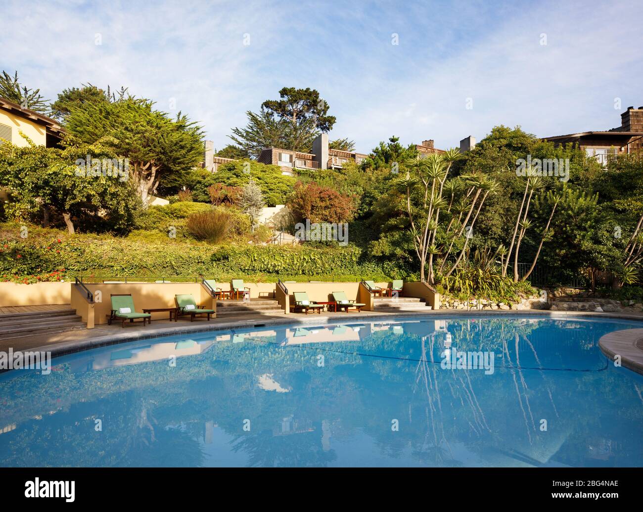 An outdoor swimming pool surrounded by green foliage in Napa Stock Photo
