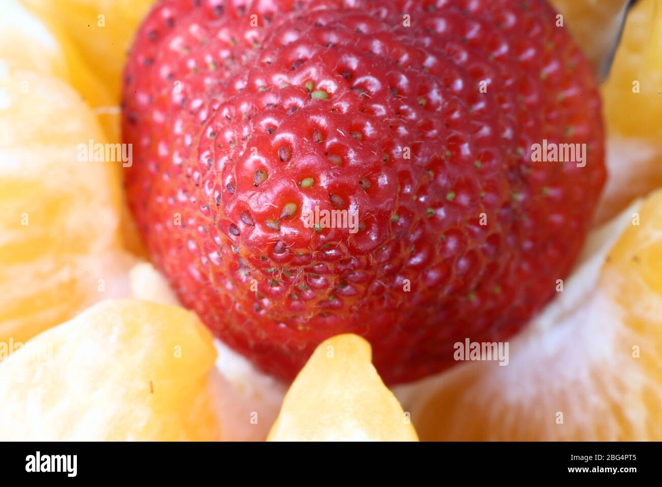 Macro Close Up Fruit Strawberry red macro photo Stock Photo - Alamy