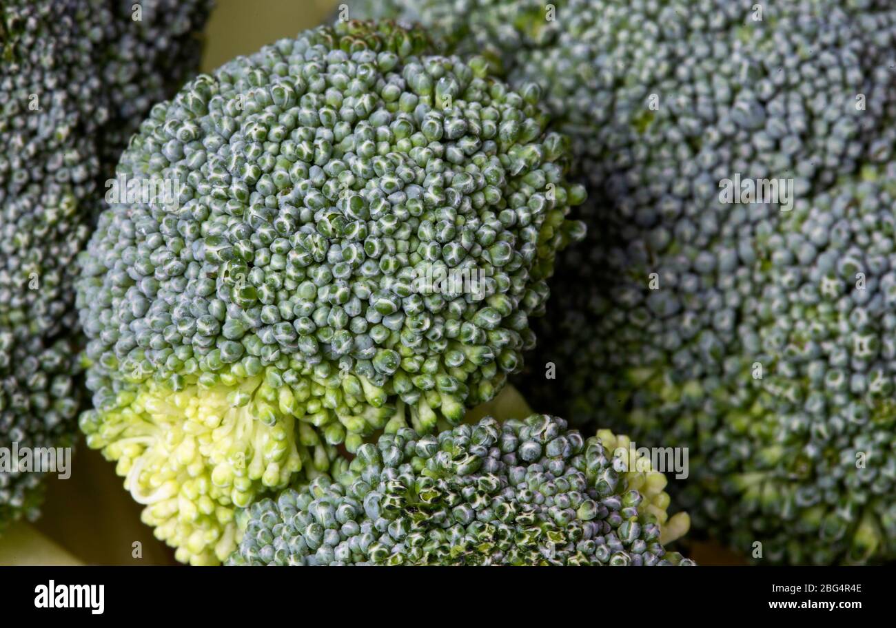 Close Up Vegetables broccoli and colliflower and onion red Stock Photo