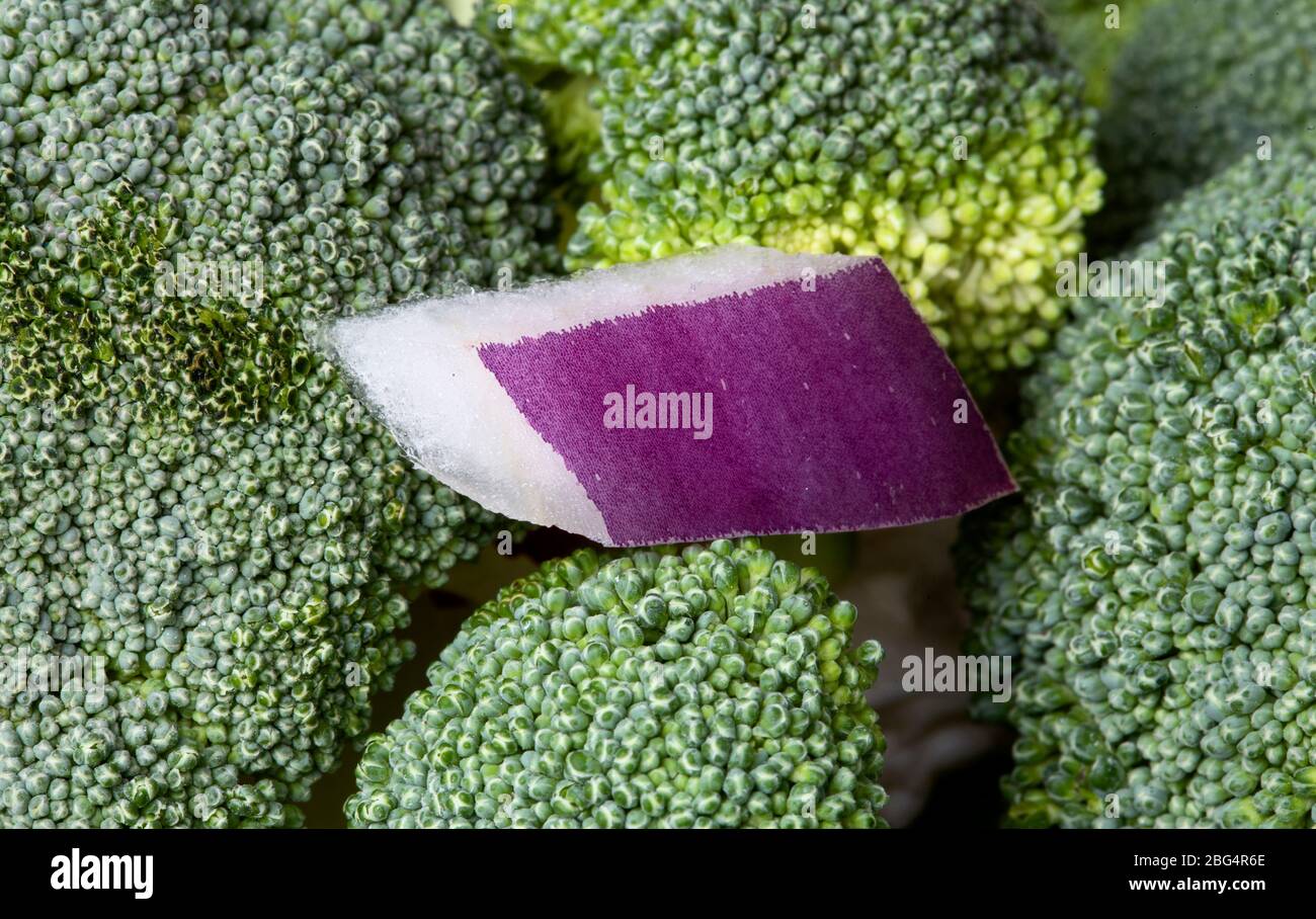 Close Up Vegetables broccoli and colliflower and onion red Stock Photo