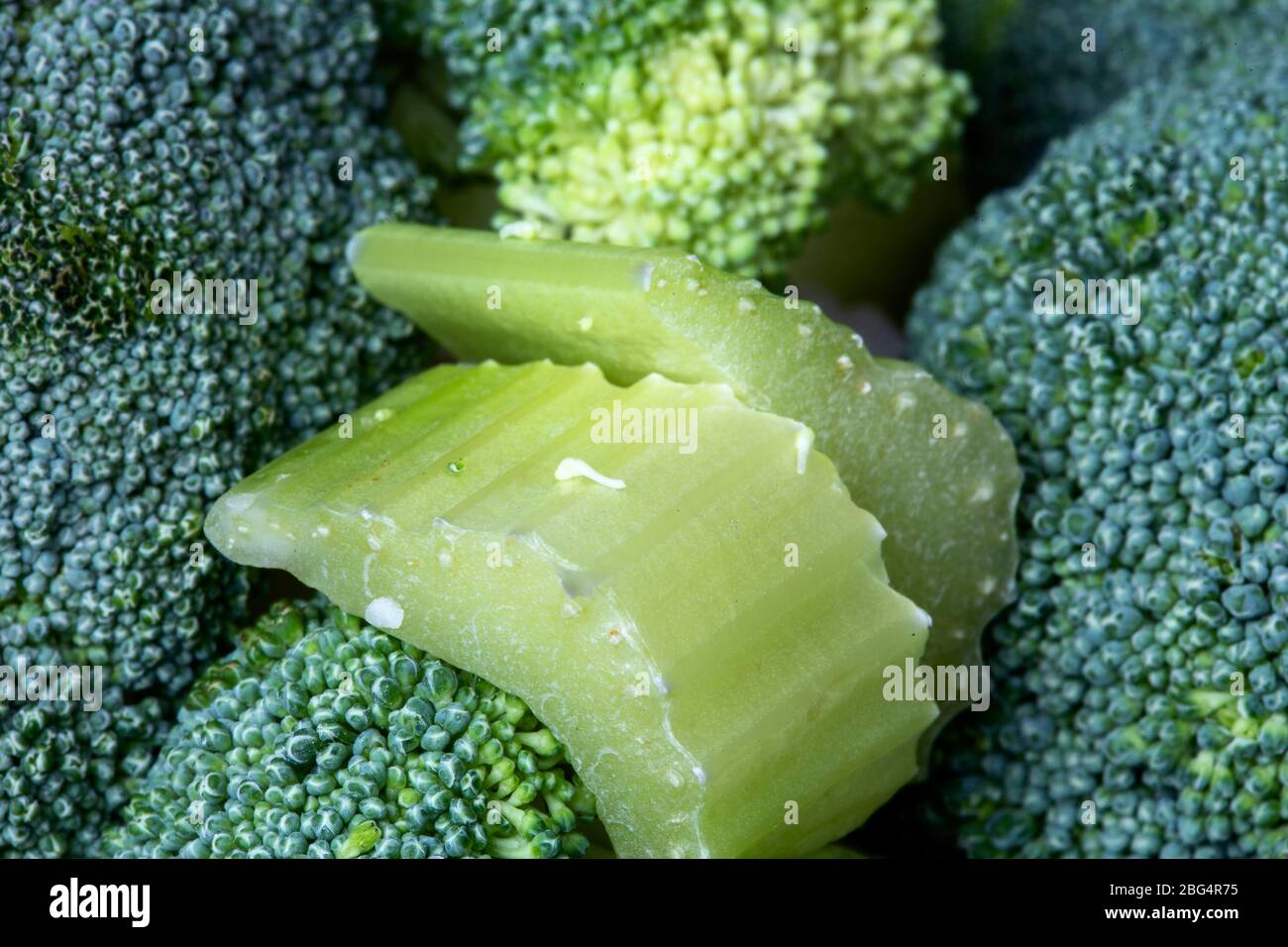 Close Up Vegetables broccoli and colliflower and onion red Stock Photo