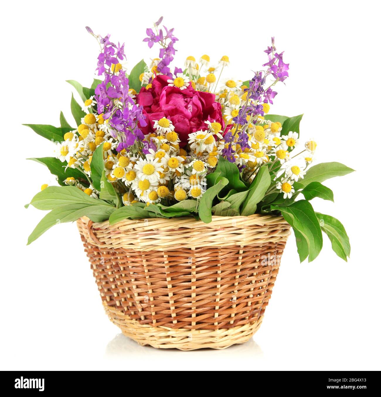 Bouquet of wild flowers in wicker basket, isolated on white Stock Photo ...