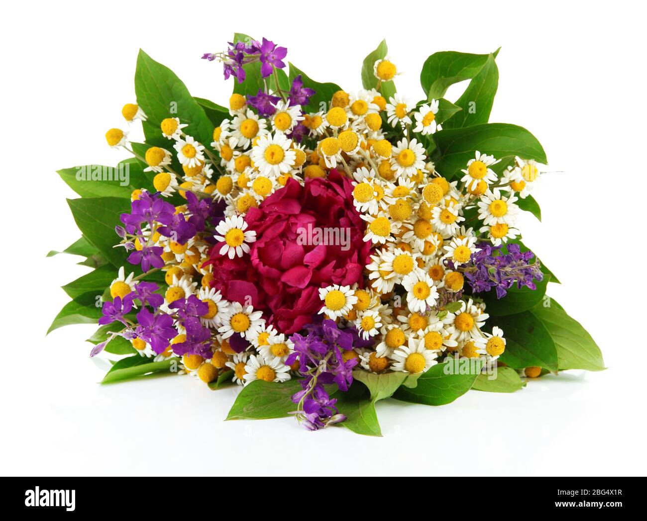 Bouquet of wild flowers, isolated on white Stock Photo - Alamy