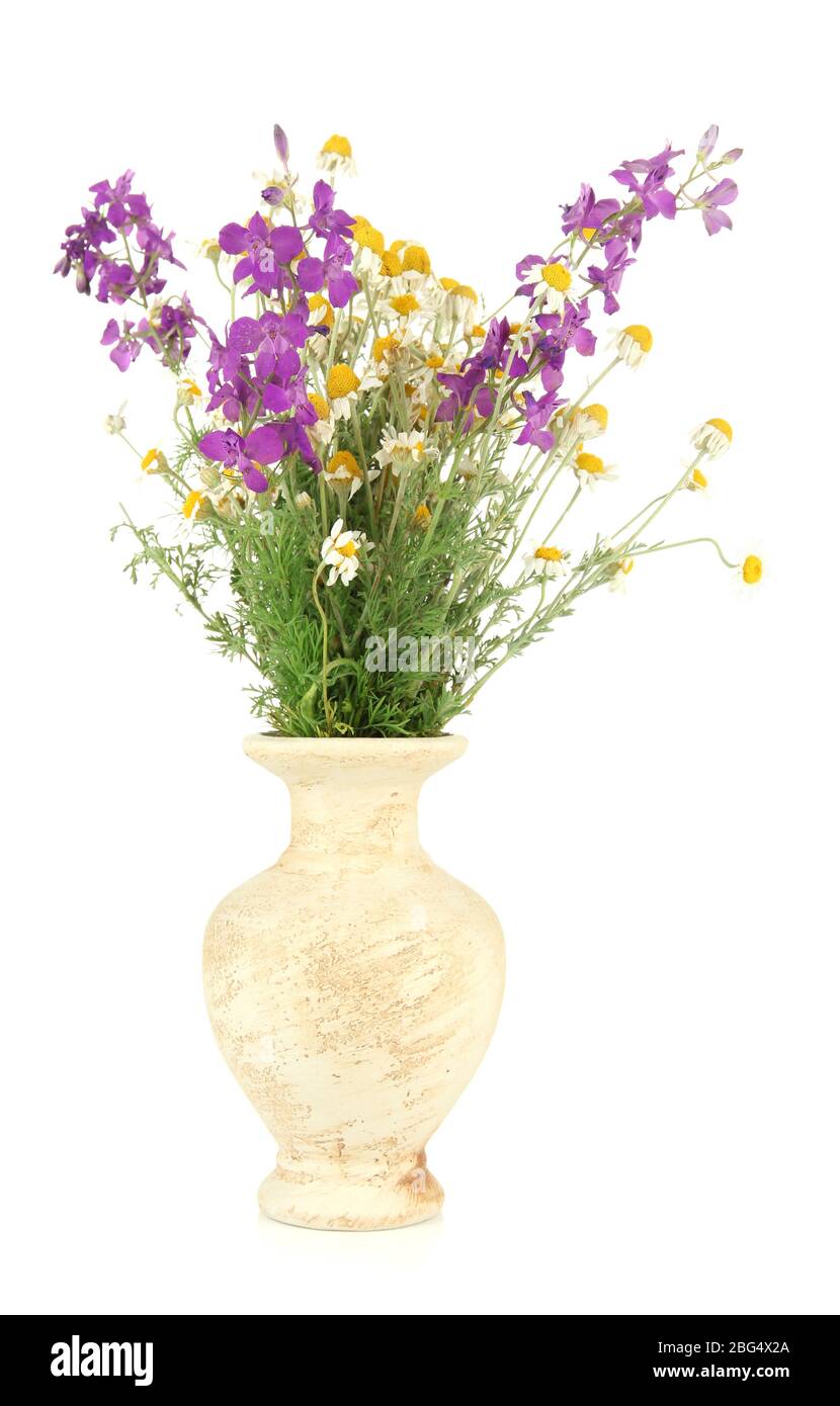 Bouquet of wild flowers in vase, isolated on white Stock Photo Alamy