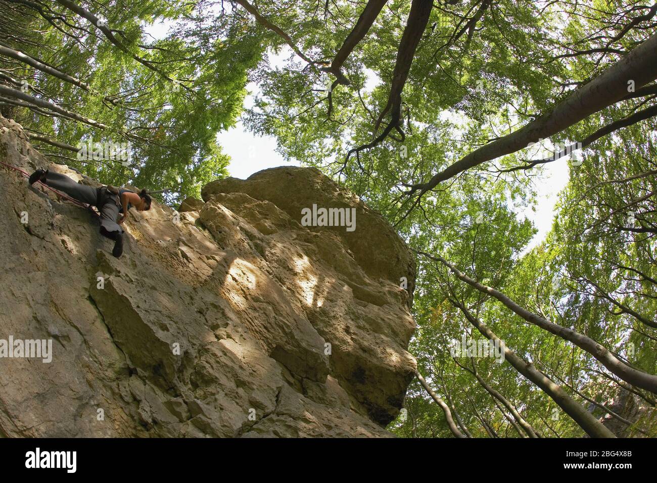 mature woman climbing limestone cliff in North Germany Stock Photo
