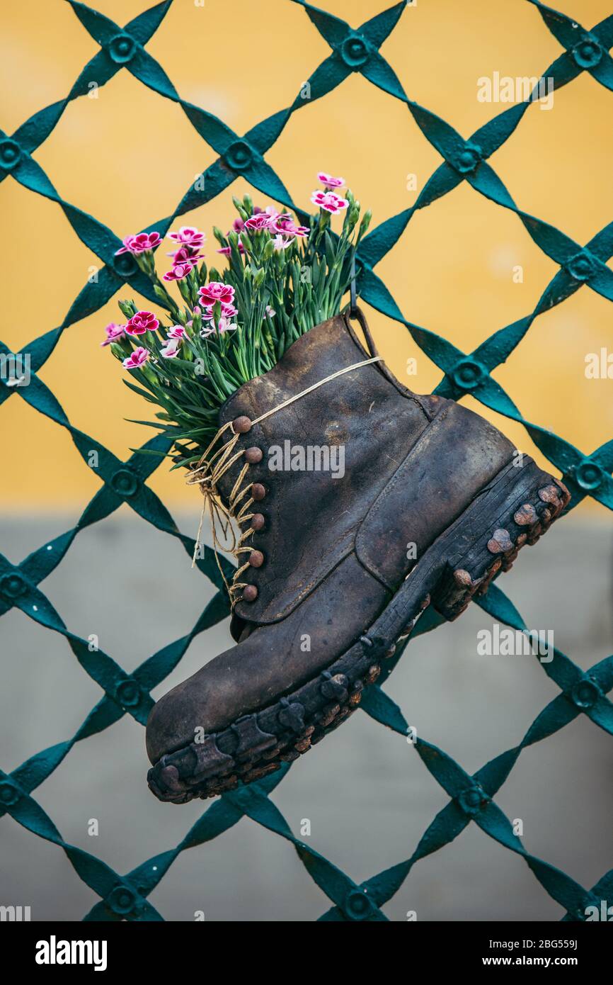 flowers in old boot decor creative pot Stock Photo Alamy