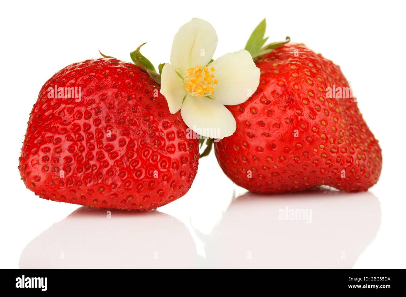 Ripe sweet strawberries and flower, isolated on white Stock Photo - Alamy