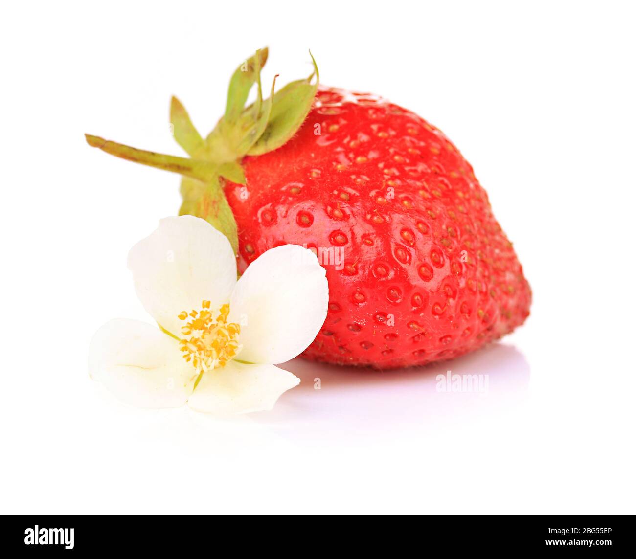 Ripe sweet strawberry and flower, isolated on white Stock Photo - Alamy
