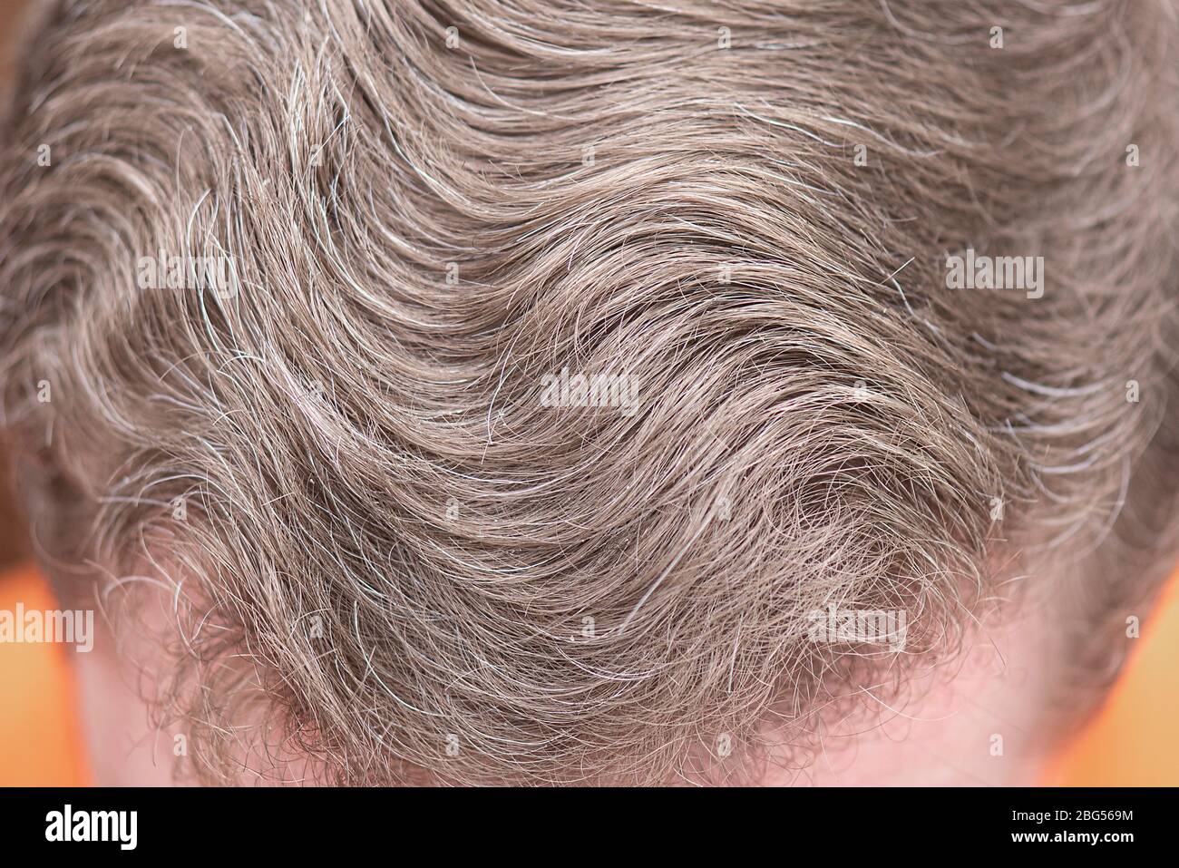 Close-up head of man with light brown hair Stock Photo