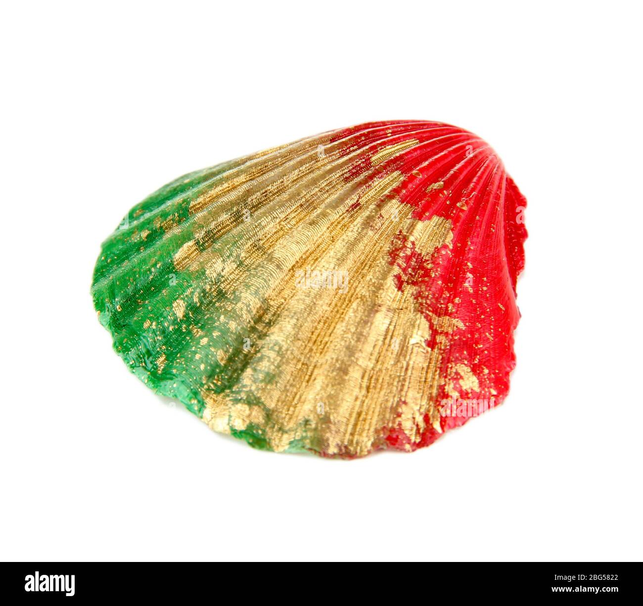 Colorful seashell isolated on white Stock Photo - Alamy