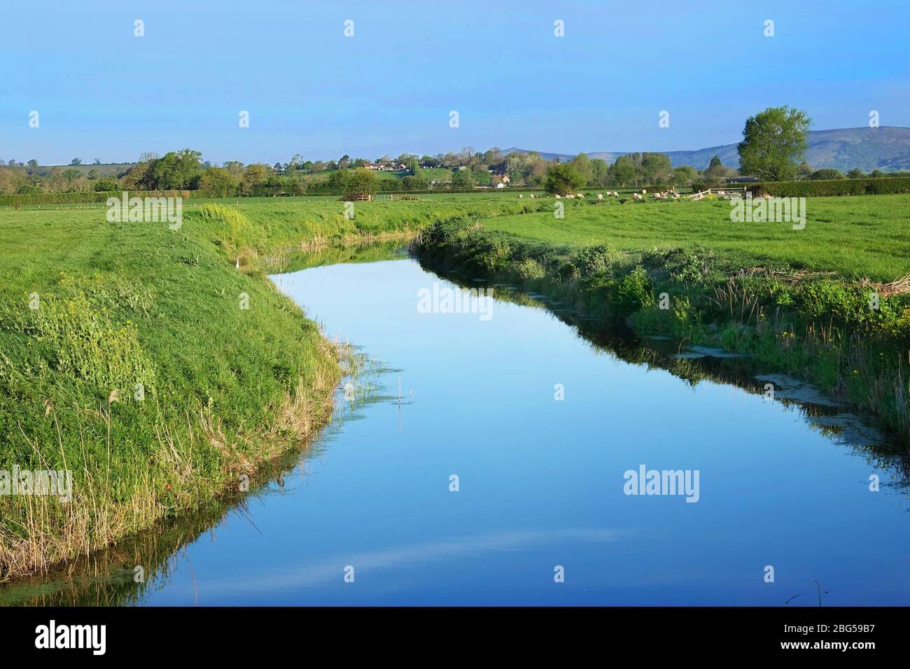 April 2020 - Small river at Cocklake Near Cheddar Somerset, UK Stock Photo