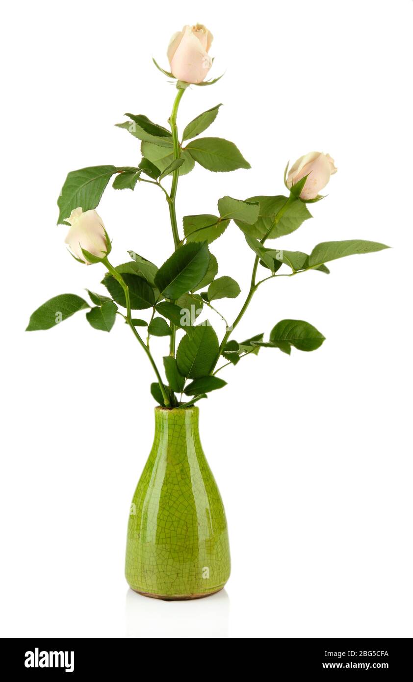 Beautiful roses in vase, isolated on white Stock Photo Alamy