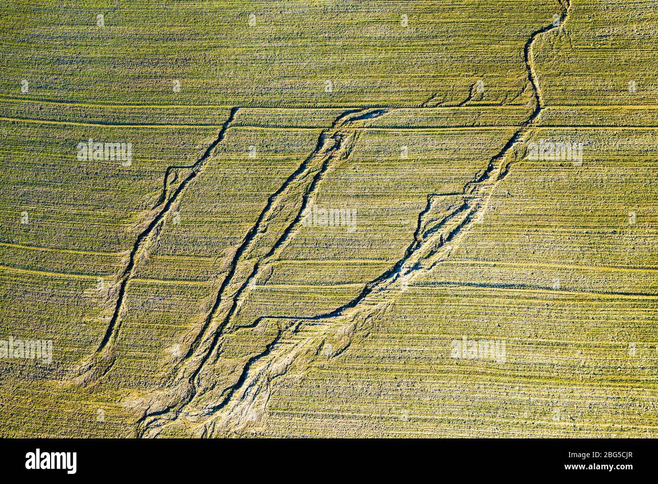 Agricultural landscape. Aerial view. Stock Photo