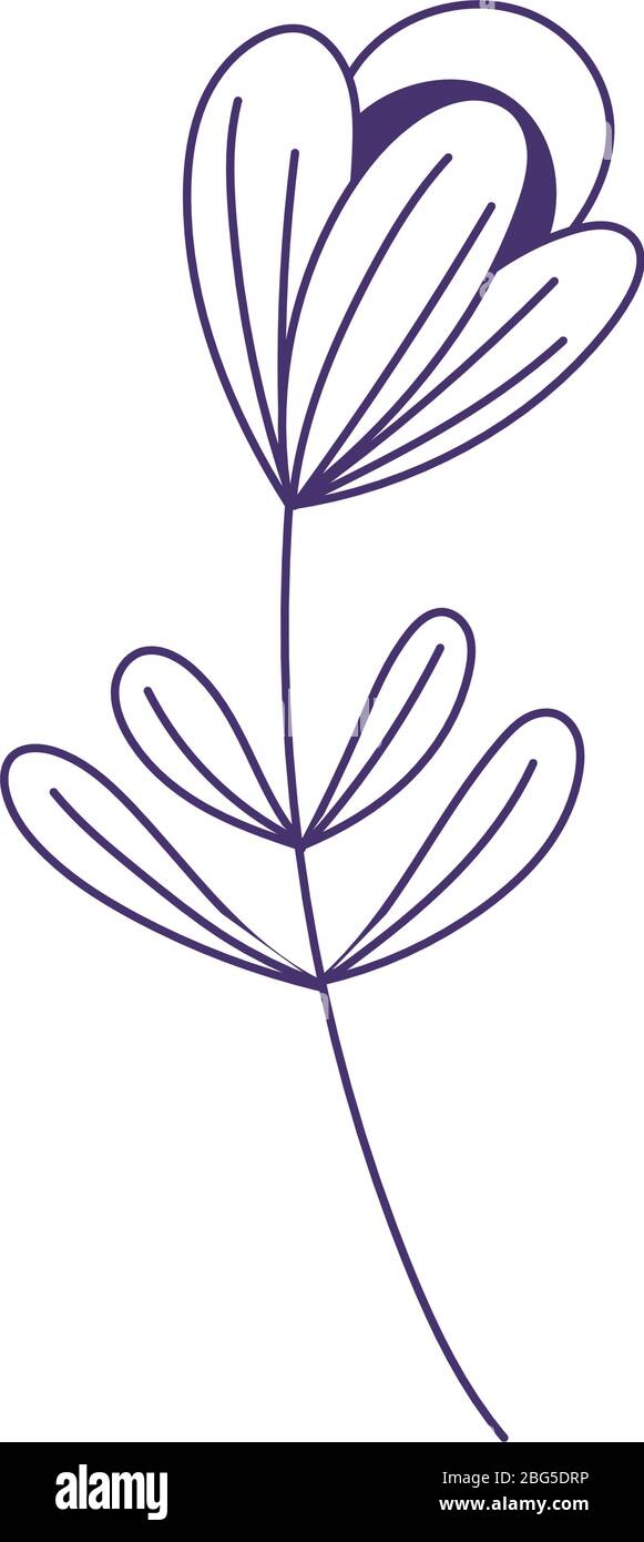flower leaf stem botanical nature decoration isolated icon vector ...