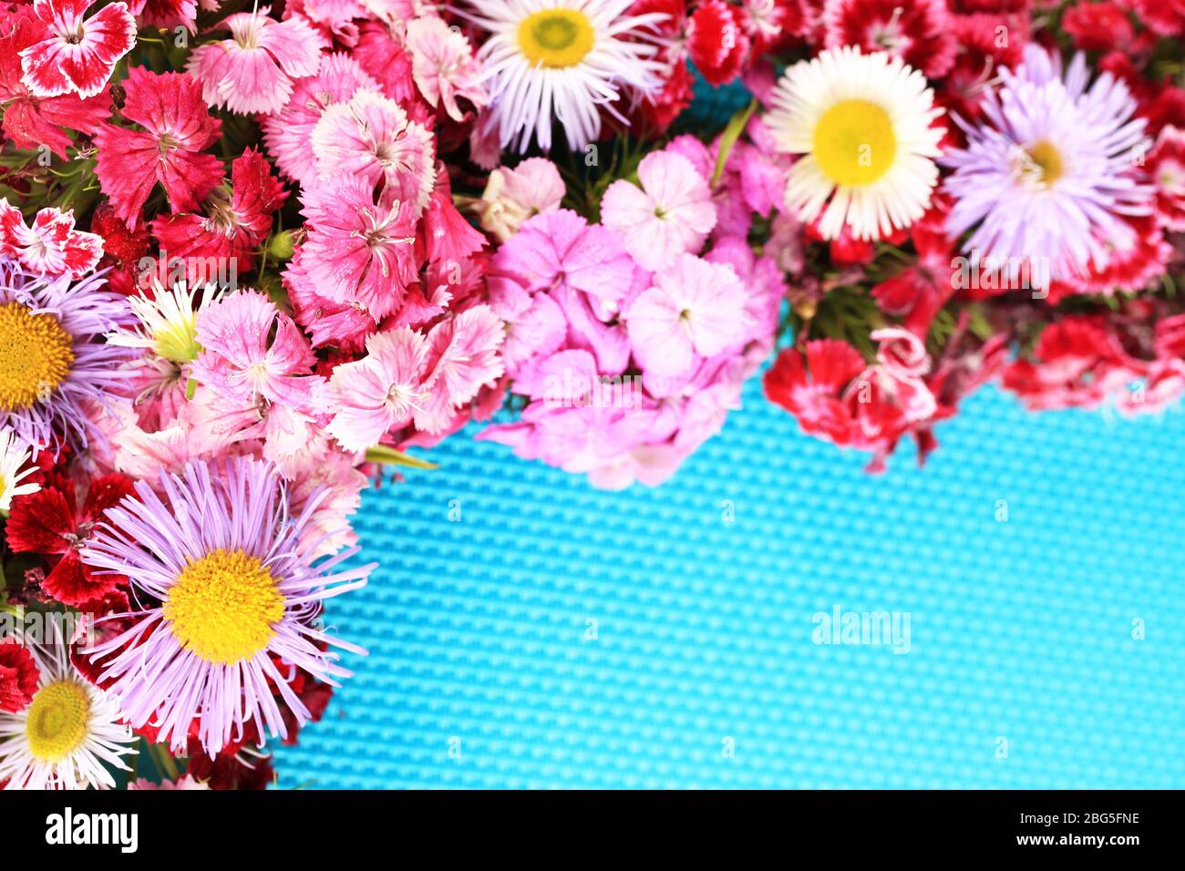 Wildflowers leaf red blue purple hi-res stock photography and images ...