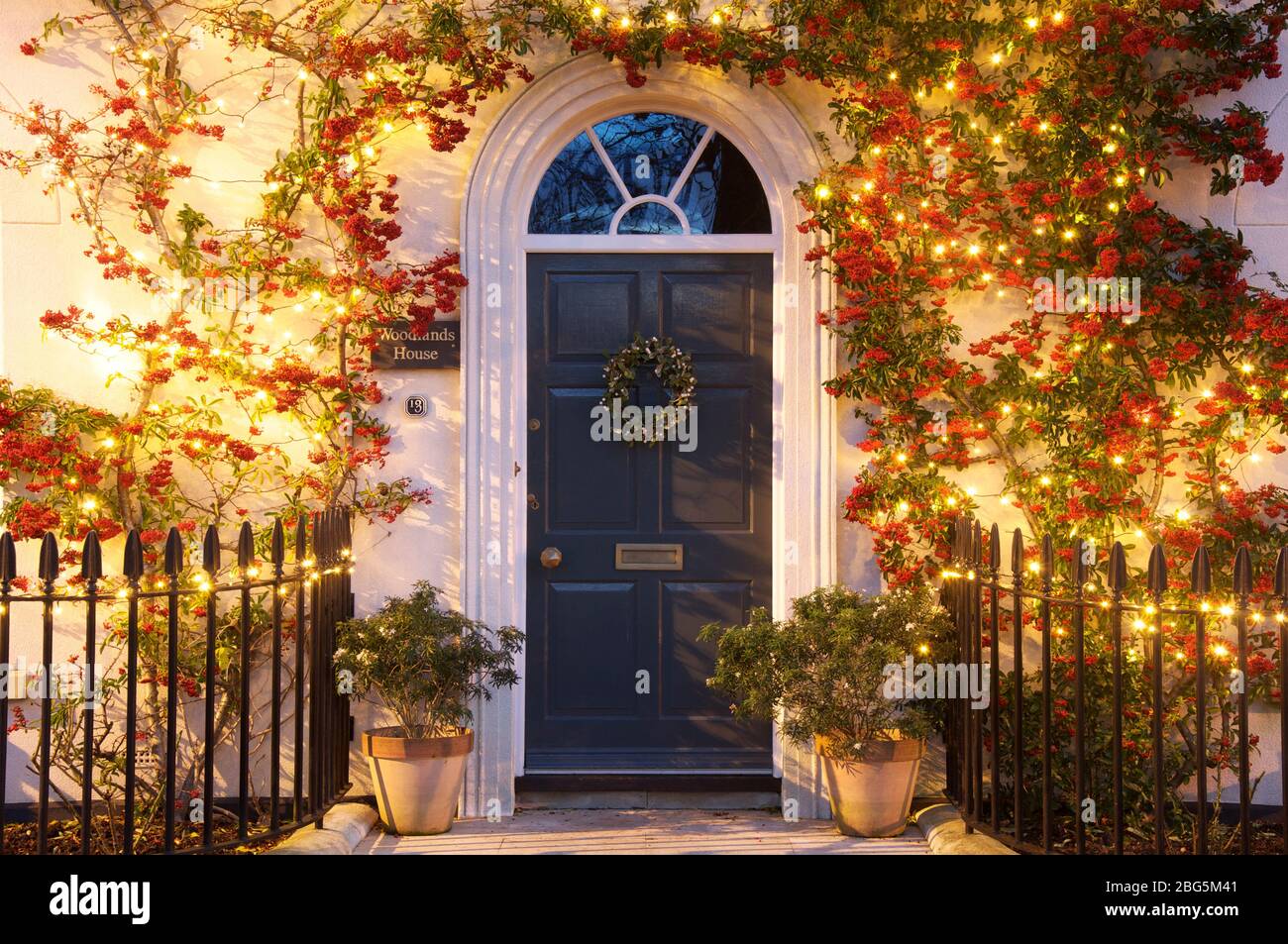 Front door of a house framed by a climbing Pyracantha plant decorated with clusters of red berries and Christmas lights. Poundbury, Dorchester, UK, GB. Stock Photo