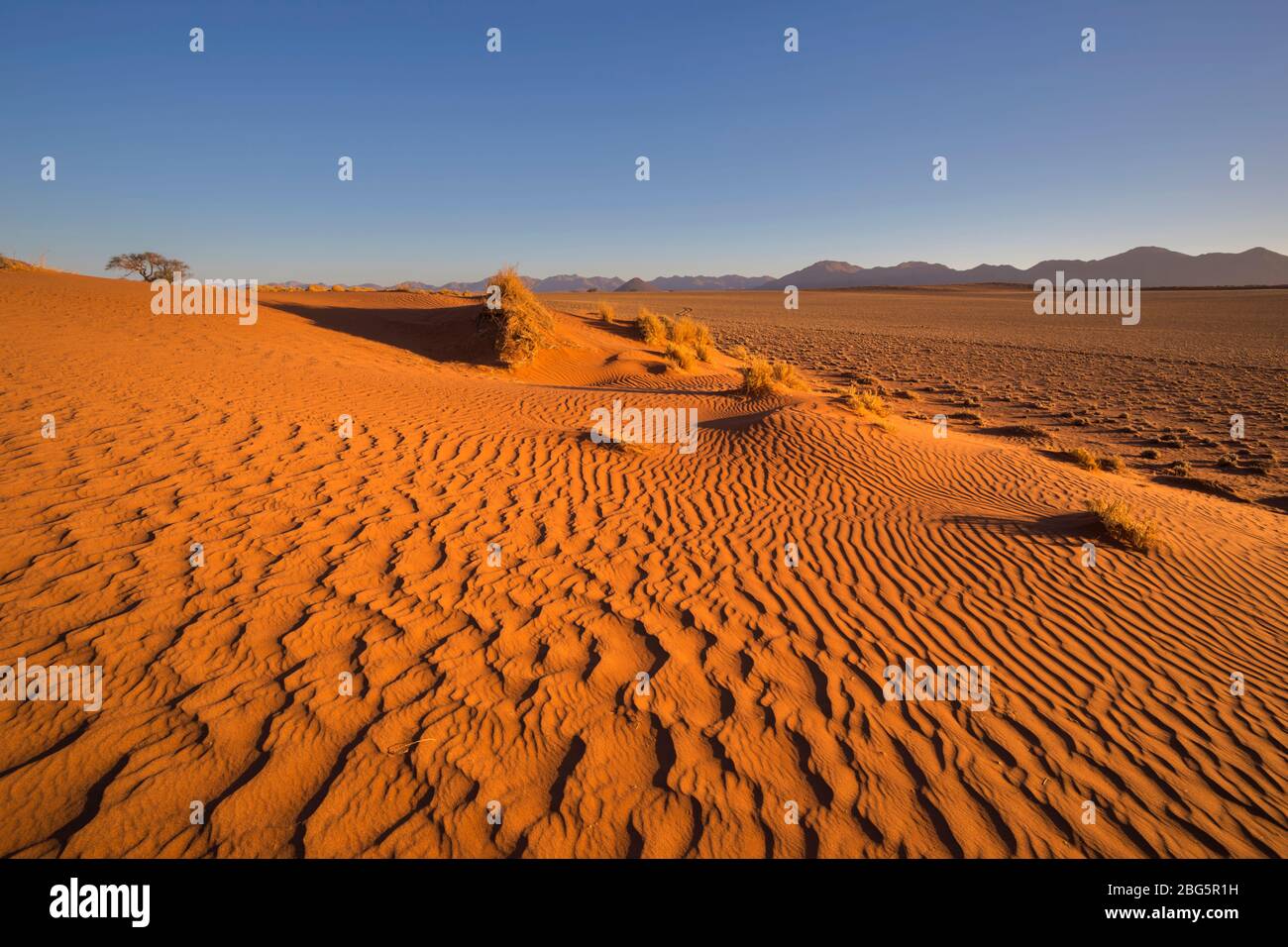 Patterns swept by the wind in the sand Stock Photo Alamy