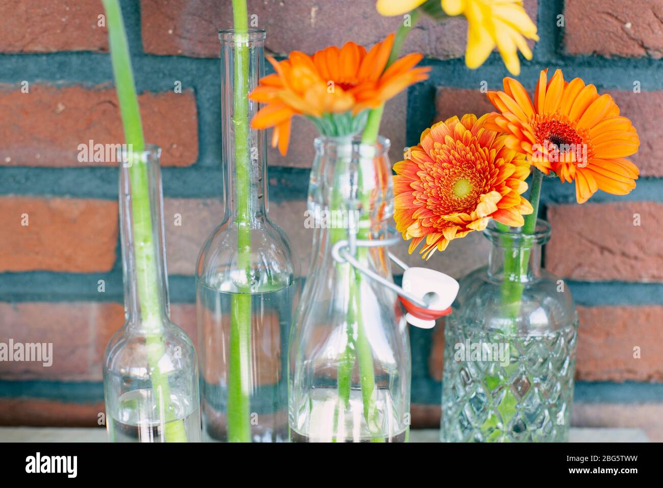 Decorative shelf on brick wall with colorful Gerbera dasies in glass