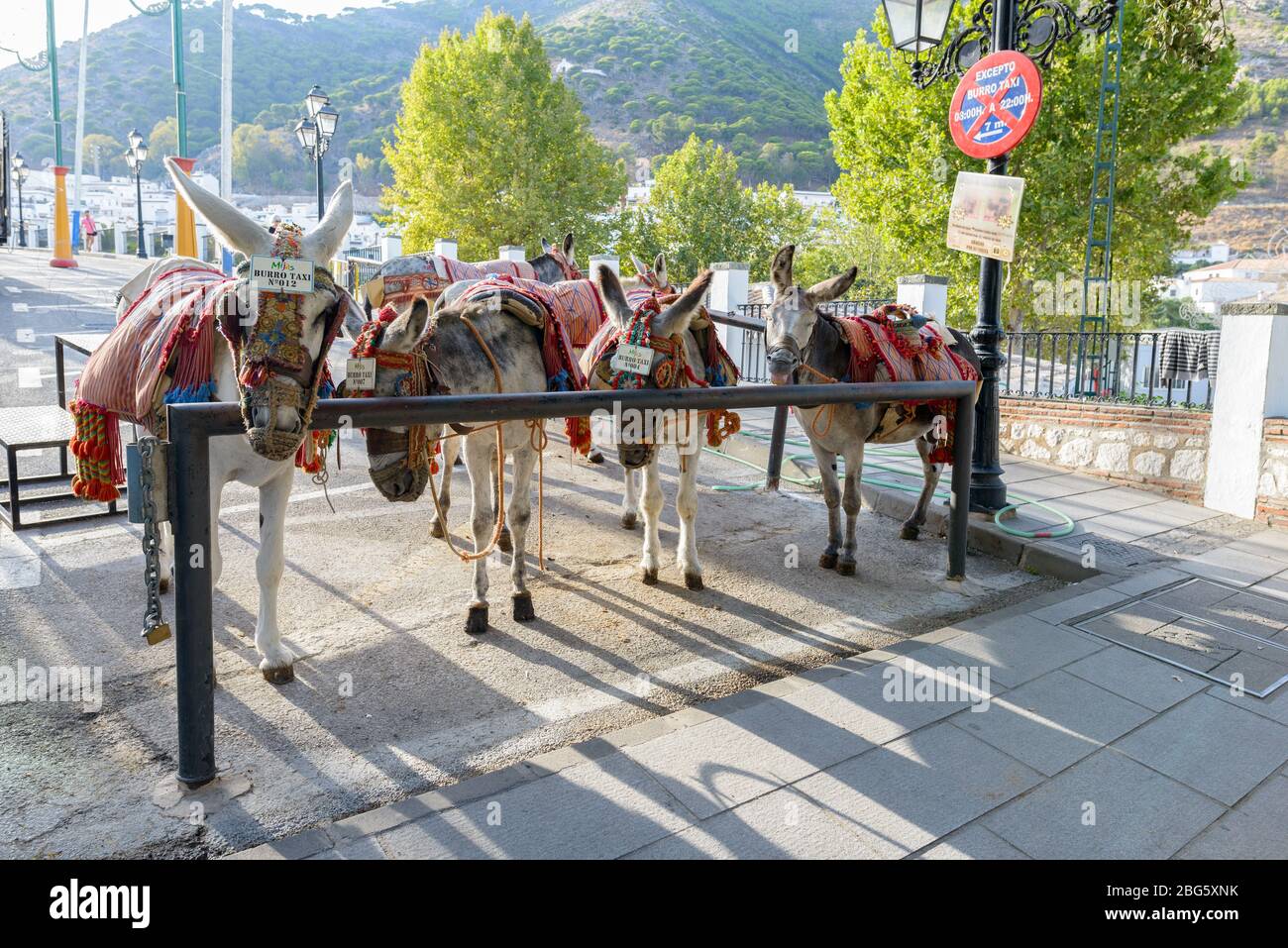 MIJAS, SPAIN - SEPTEMBER 6, 2016 - Donkey taxis waiting in Mijas village of Malaga Costa Del Sol Stock Photo