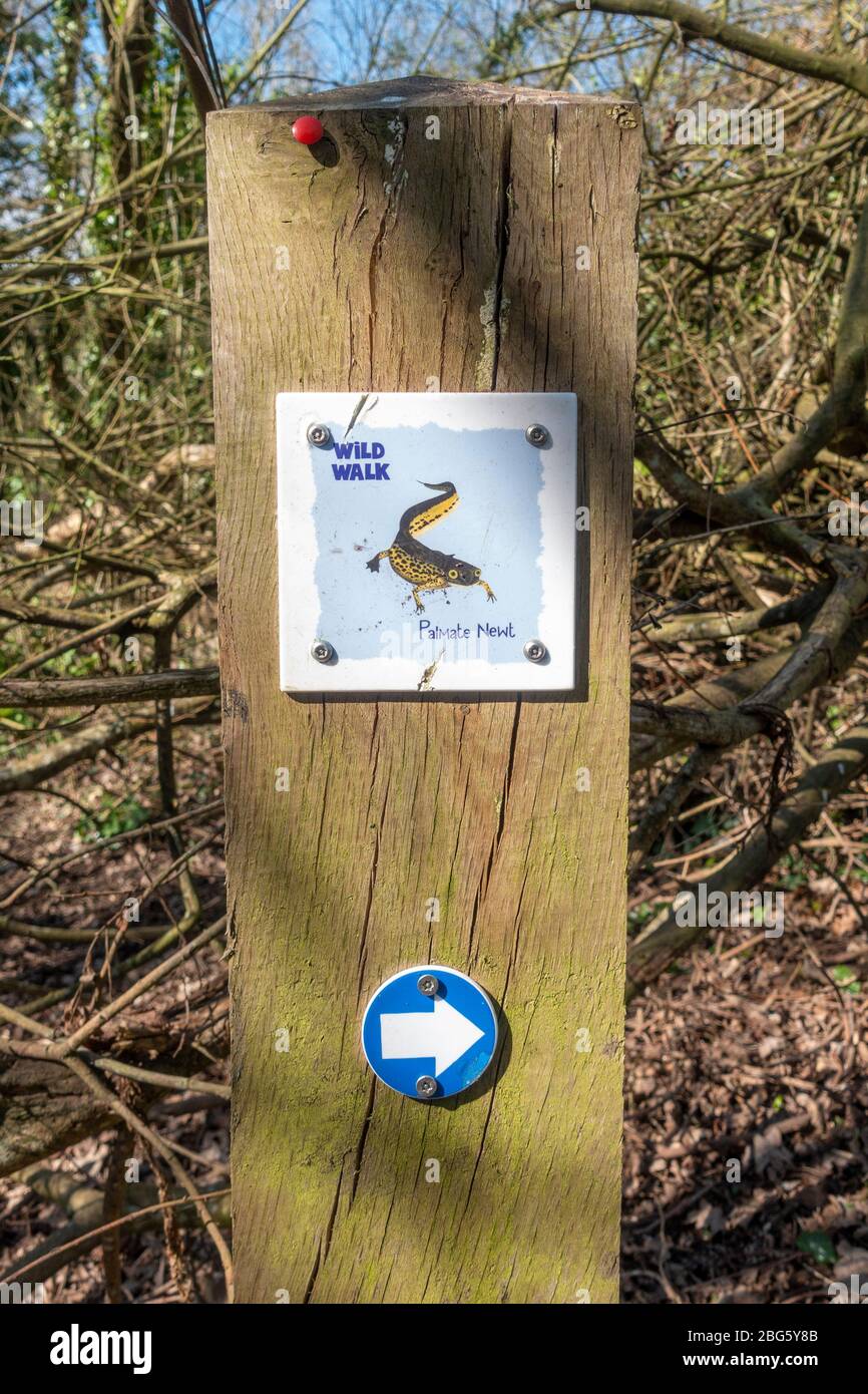 Marker/direction post for a Wild Walk (showing a Palmate Newt) on Hounslow Heath, London, UK. Stock Photo