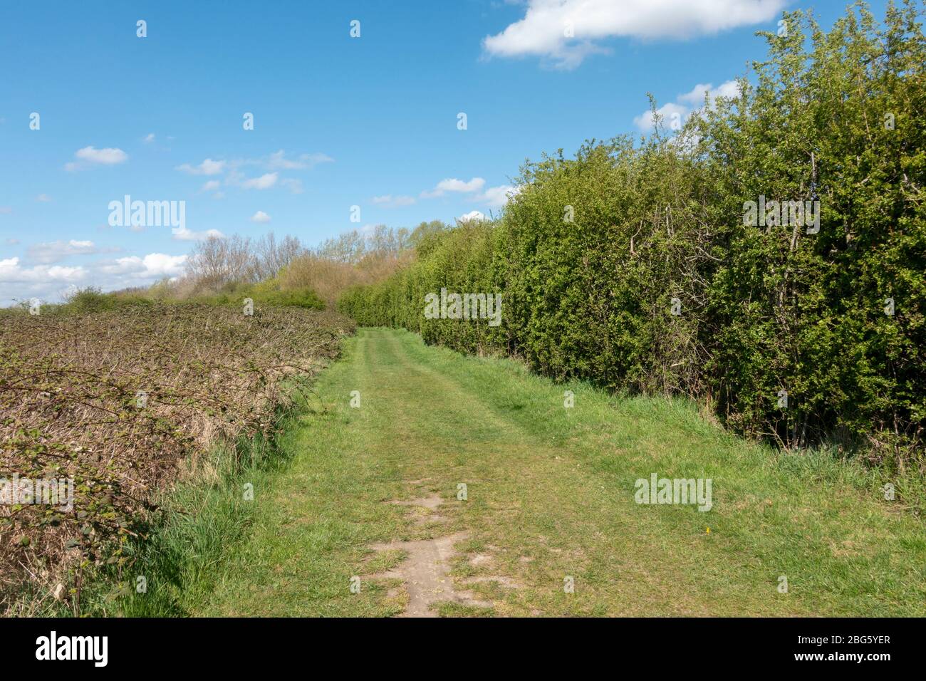 General view along a path on Hounslow Heath, London, UK. Stock Photo