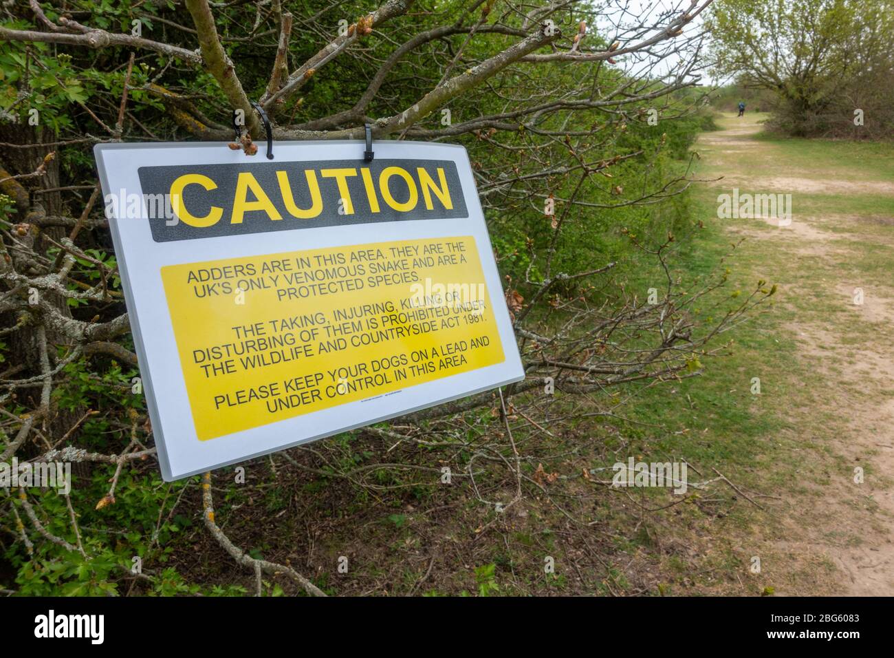 'Caution' sign warning visitors of the presence of adder snakes on Hounslow Heath, London, UK. Stock Photo