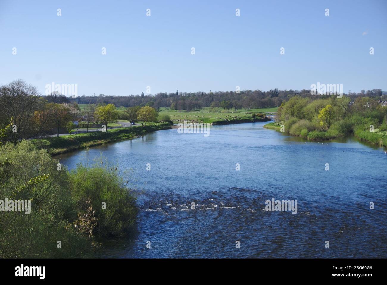 View north-west along the River Tweed from Rennie's Bridge, Kelso, to the point where it joins with the Teviot Stock Photo