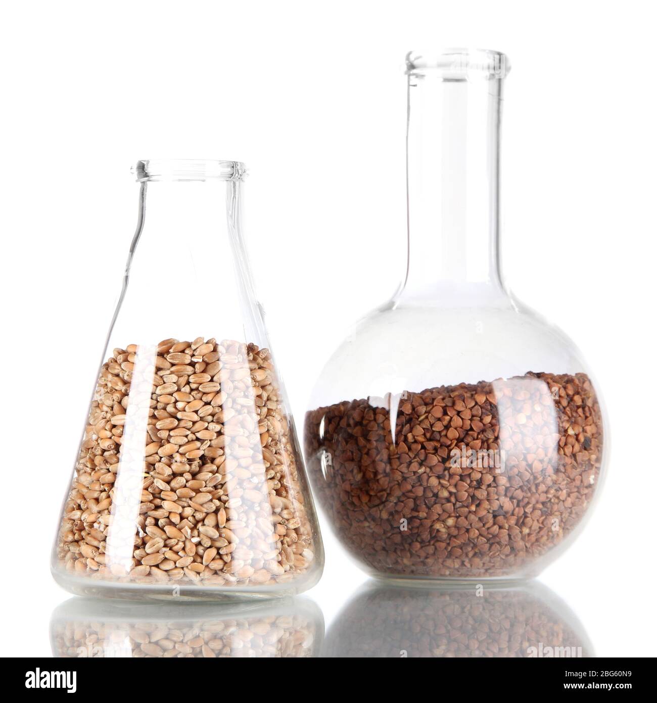 Groates Groats in tests tube isolated on white Stock Photo - Alamy