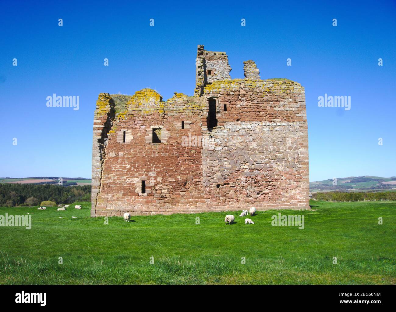 Cessford Castle, a ruined 15th century tower house near Morebattle ...