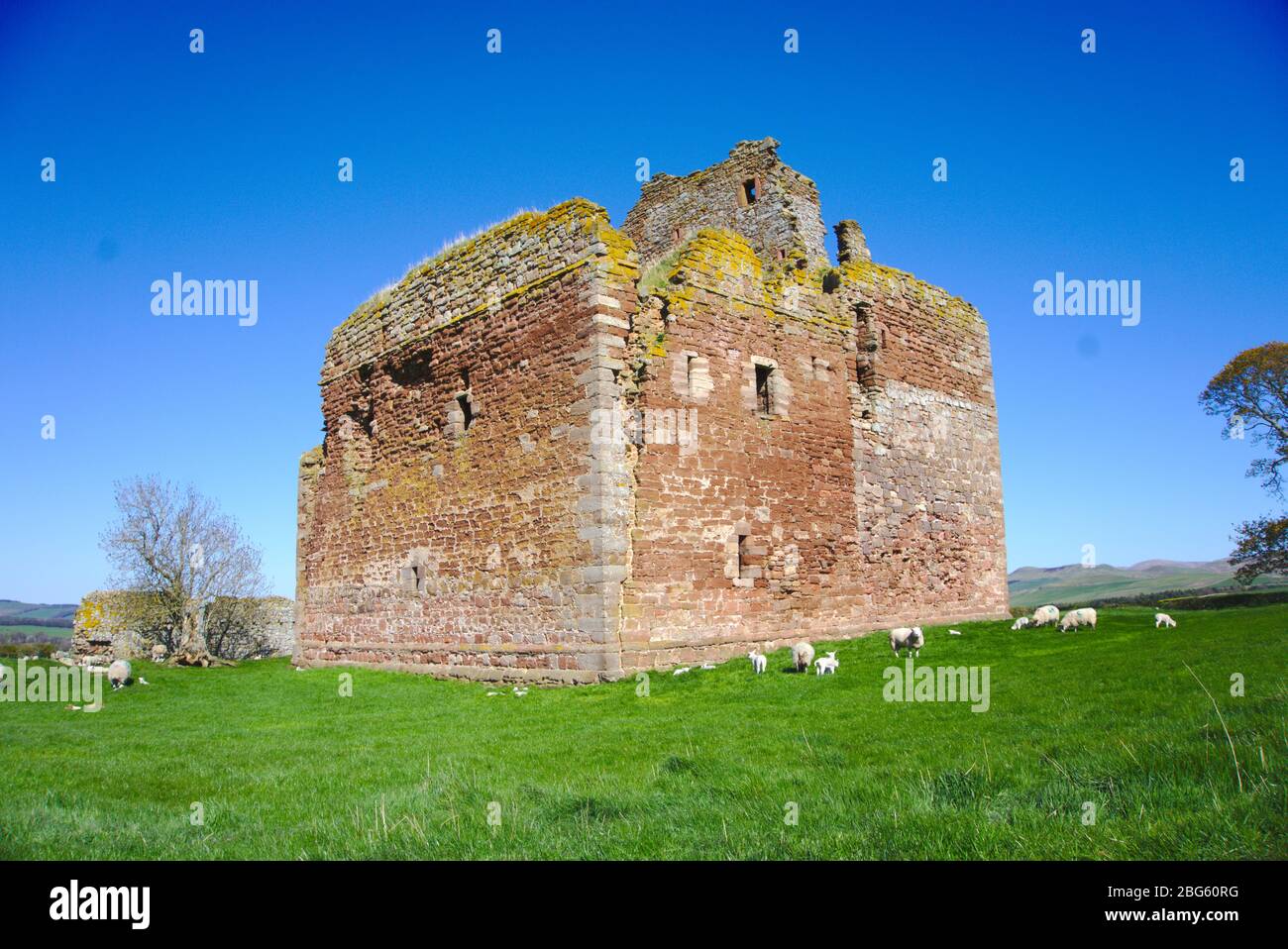 Cessford Castle, a ruined 15th century tower house near Morebattle, Roxburghshire, Scottish Borders, UK Stock Photo