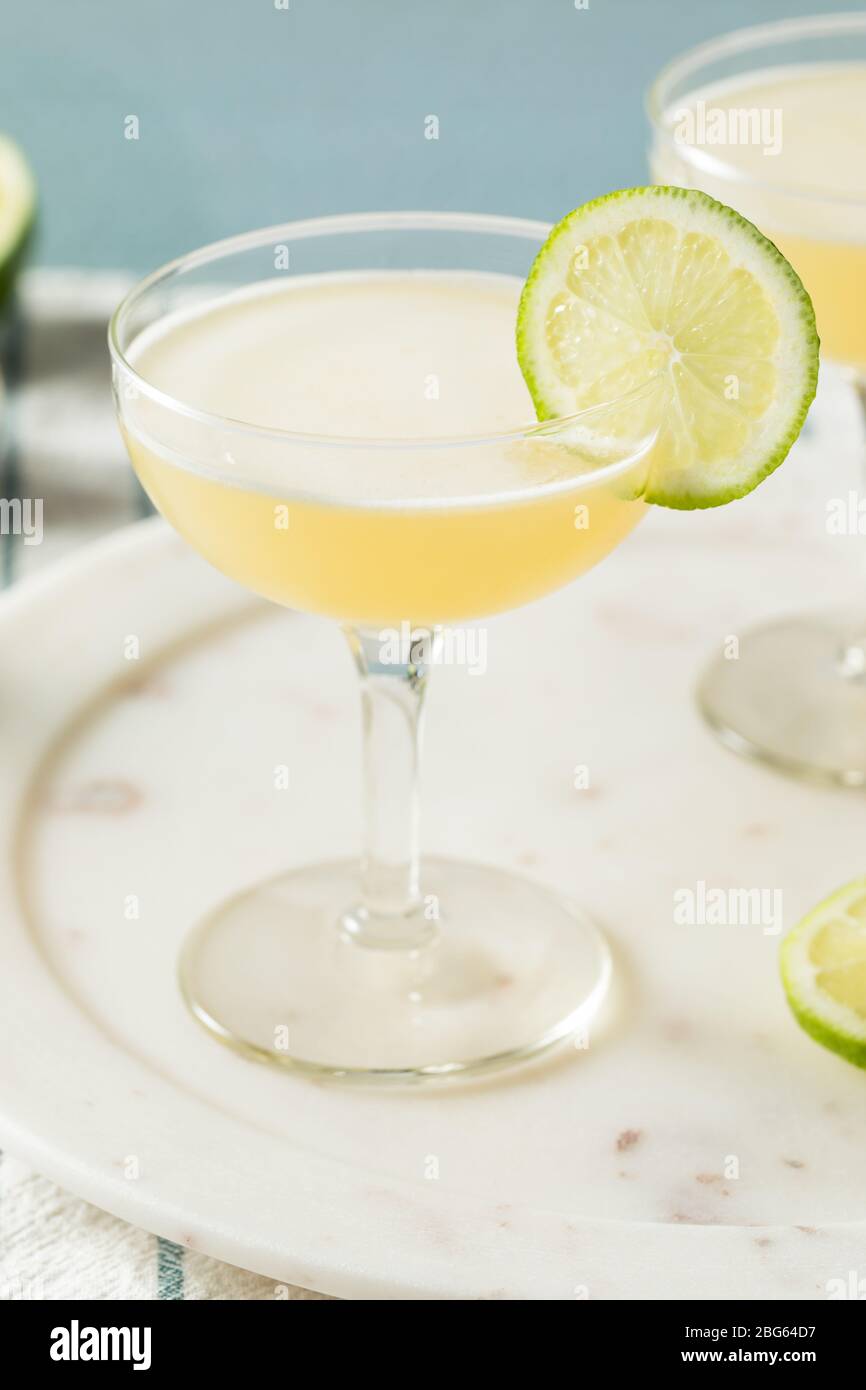 Homemade Vokda Gimlet Cocktail in a Coupe Glass Stock Photo Alamy