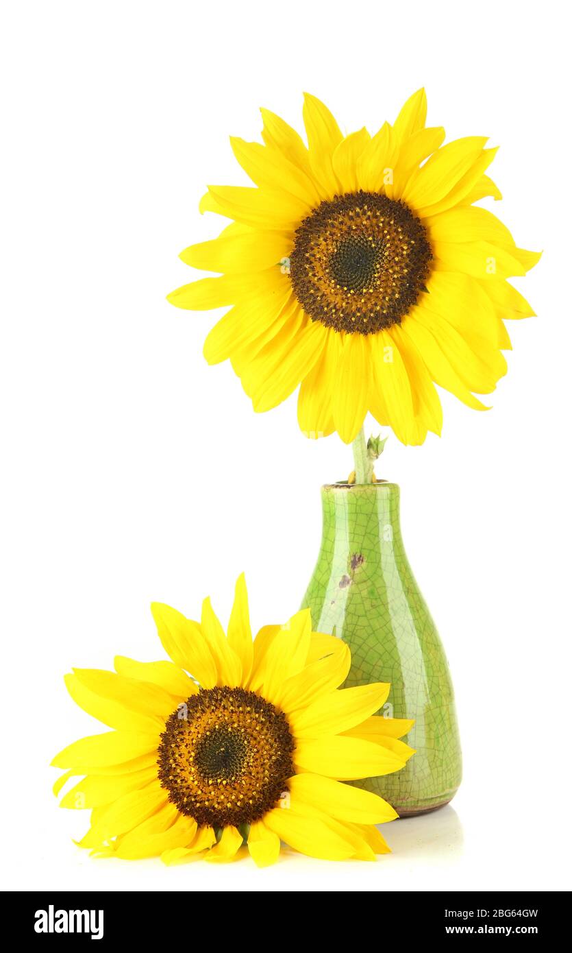 Bright sunflowers in vase isolated on white Stock Photo - Alamy