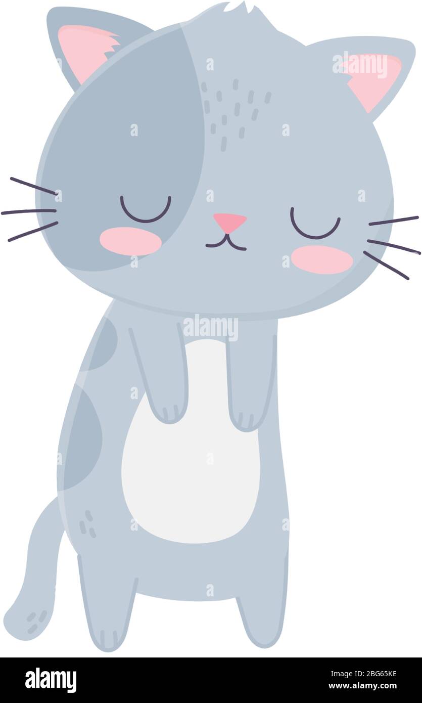 Cat cartoon vector icon, cute and kawaii cats vector illustrations