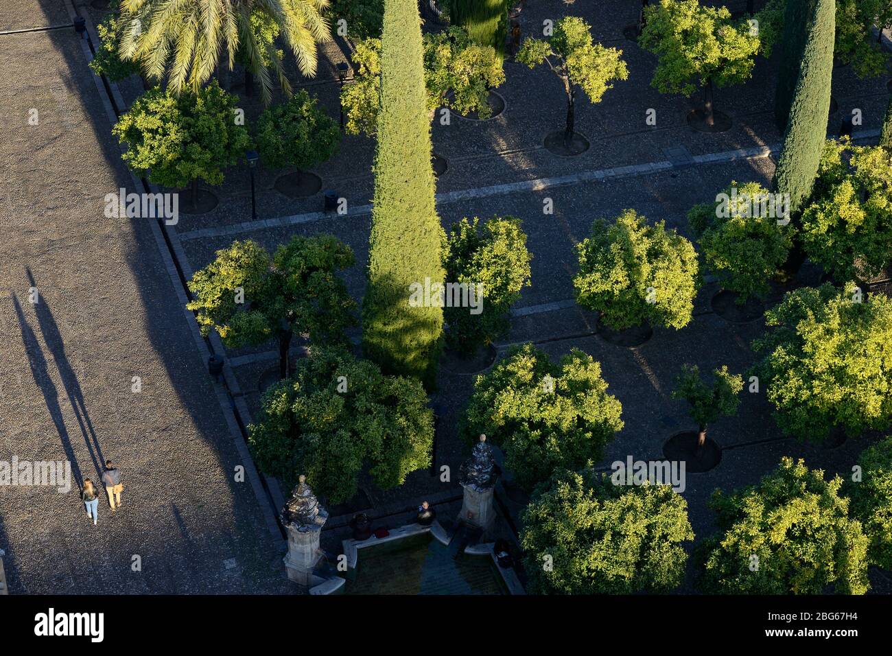 Patio De Los Naranjos At The Seville Cathedral In Seville Spain Stock Photo Alamy