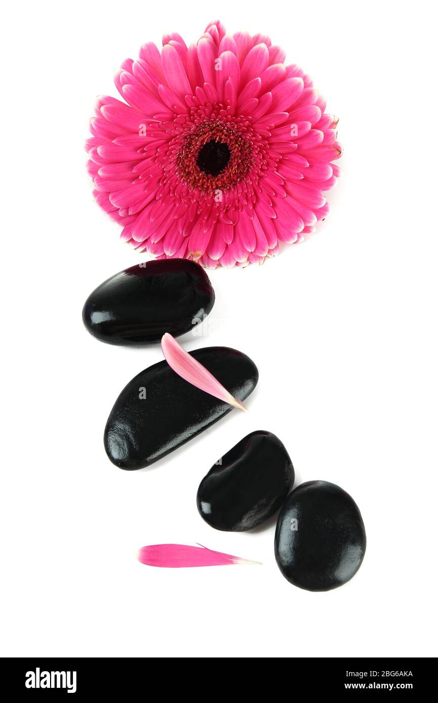 Spa stones and gerbera isolated on white Stock Photo - Alamy