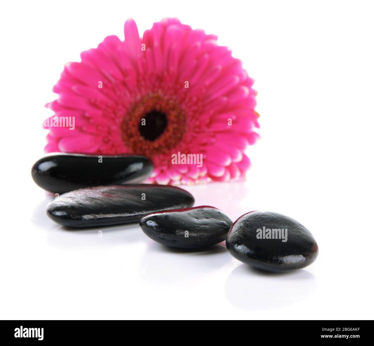 Spa stones and gerbera isolated on white Stock Photo - Alamy