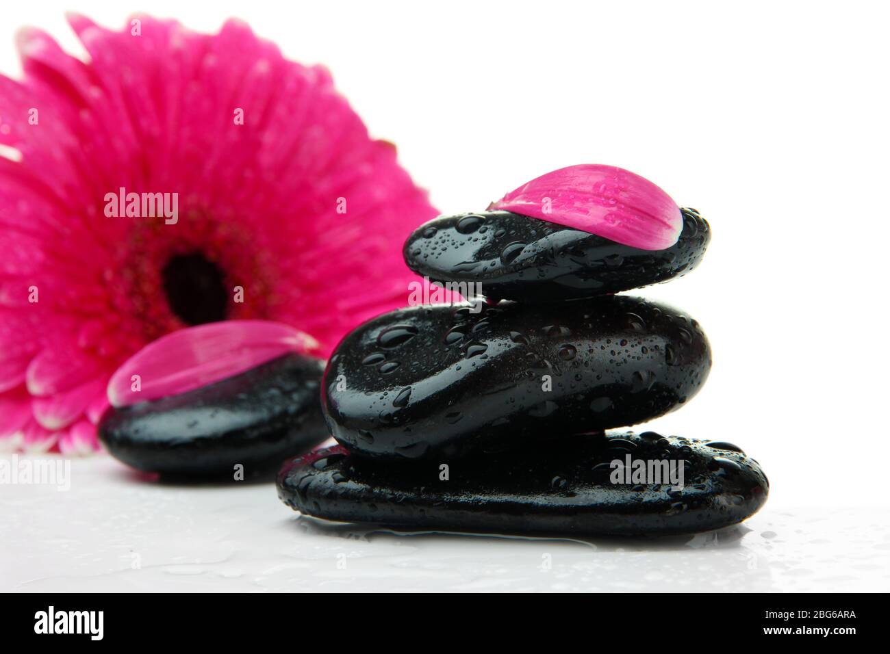 Spa stones and gerbera isolated on white Stock Photo - Alamy