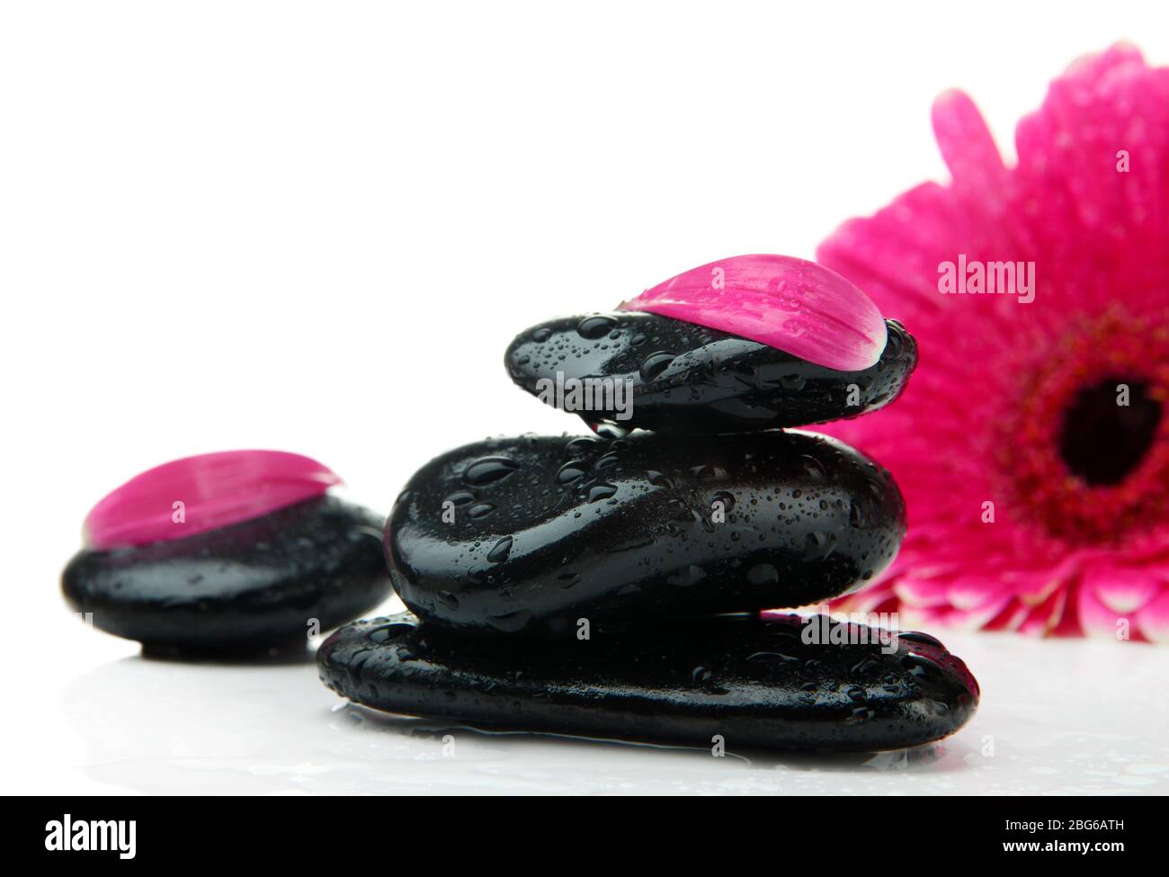 Spa stones and gerbera isolated on white Stock Photo - Alamy