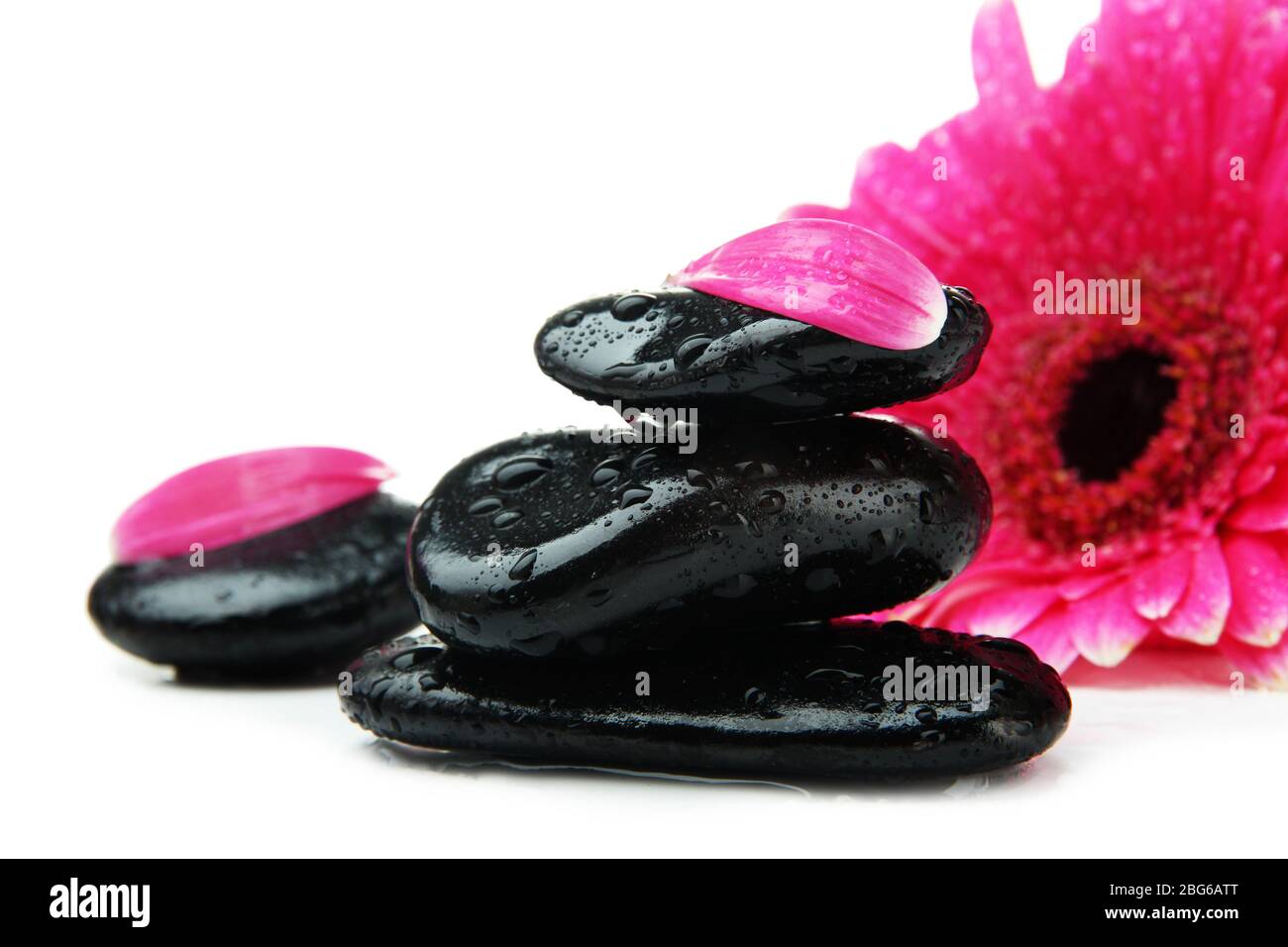 Spa stones and gerbera isolated on white Stock Photo - Alamy